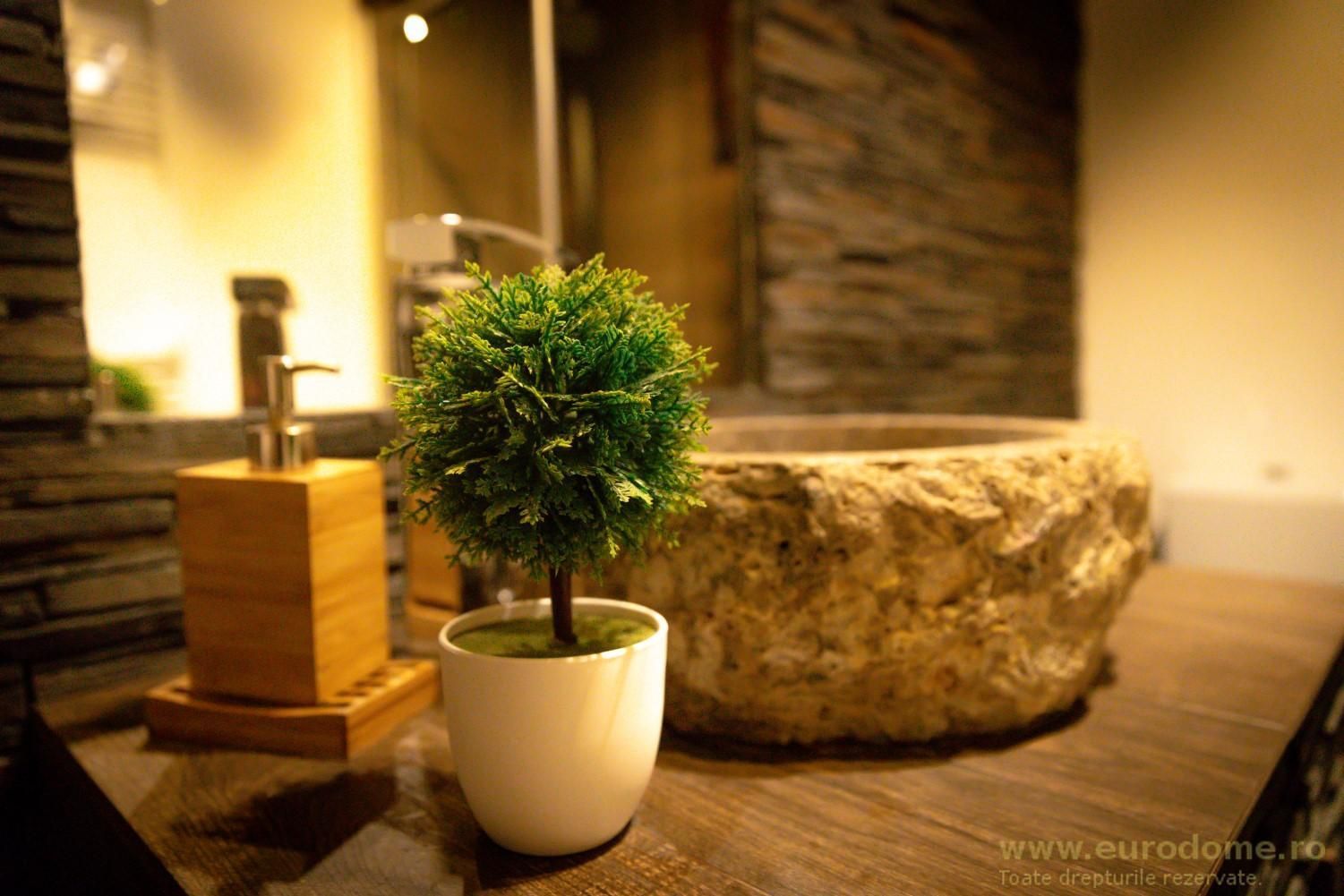 Apartament la cheie, cu grădină proprie, pretabil locuit sau închiriere - Poză 7