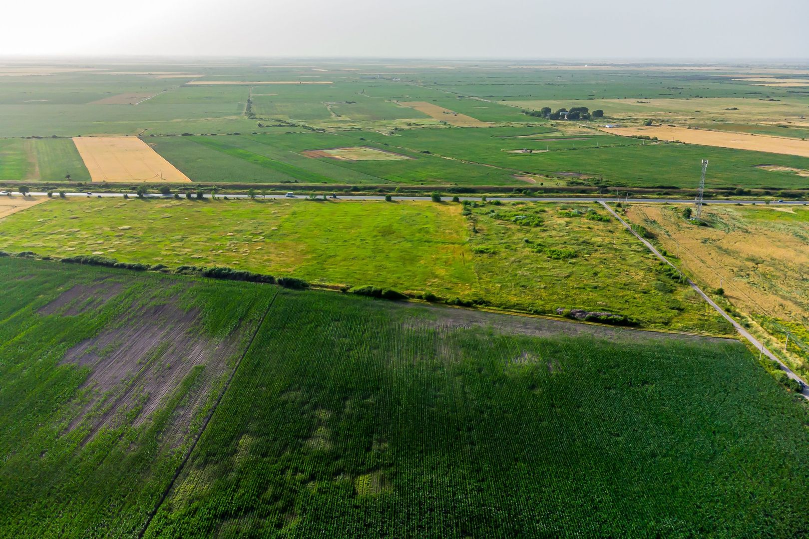 Teren pentru investiție DN7 - Poză 1