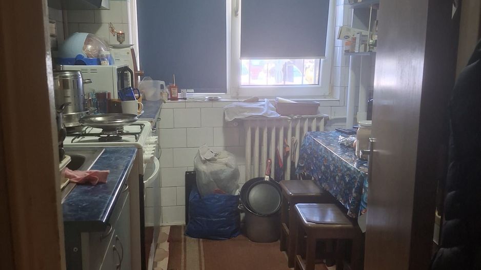 Vanzare apartament 2 camere Titan -Camil Ressu, Park Lake - Poză 8