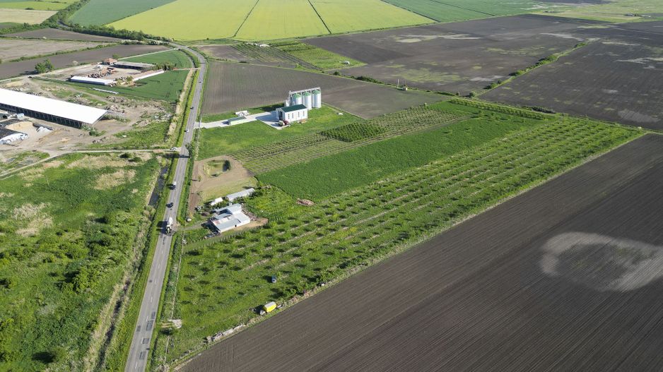 Livadă de nuci și pruni 2.4ha în Variașu Mare - Poză 12