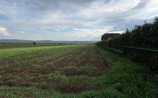 🌟 Teren de Vânzare 20 Ari | Salcea, Suceava | 💥 Preț: €30.000 - Poză 1