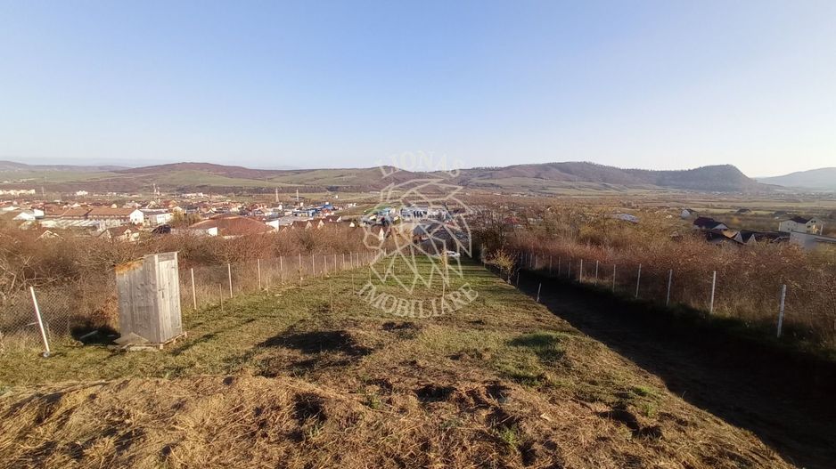 Teren intravilan 2700 mp-ideal case/investitie-Viisoara - Poză 5