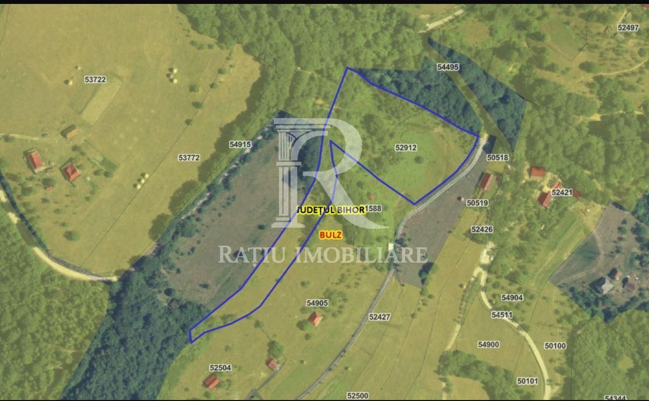 Teren 10.900mp | Panoramă în Apuseni | Remeți -Ideal pentru Investitii - Poză 3