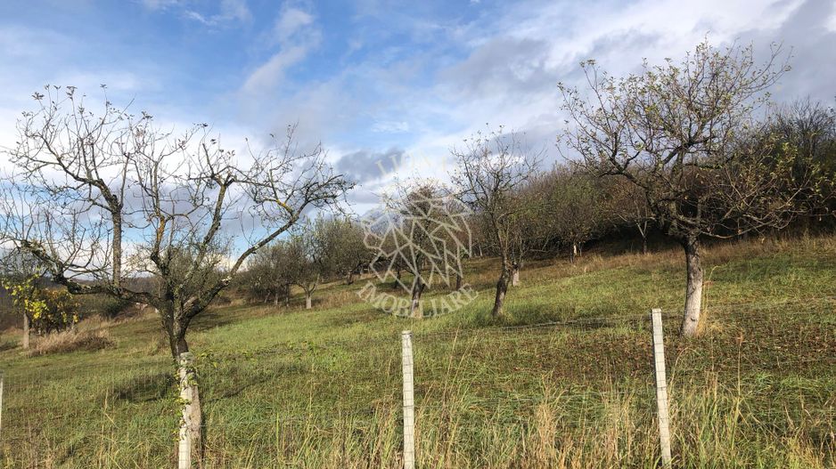 Teren intravilan 3800 mp-pretabil case-parcelabil-Zona Cartier Raal - Poză 3