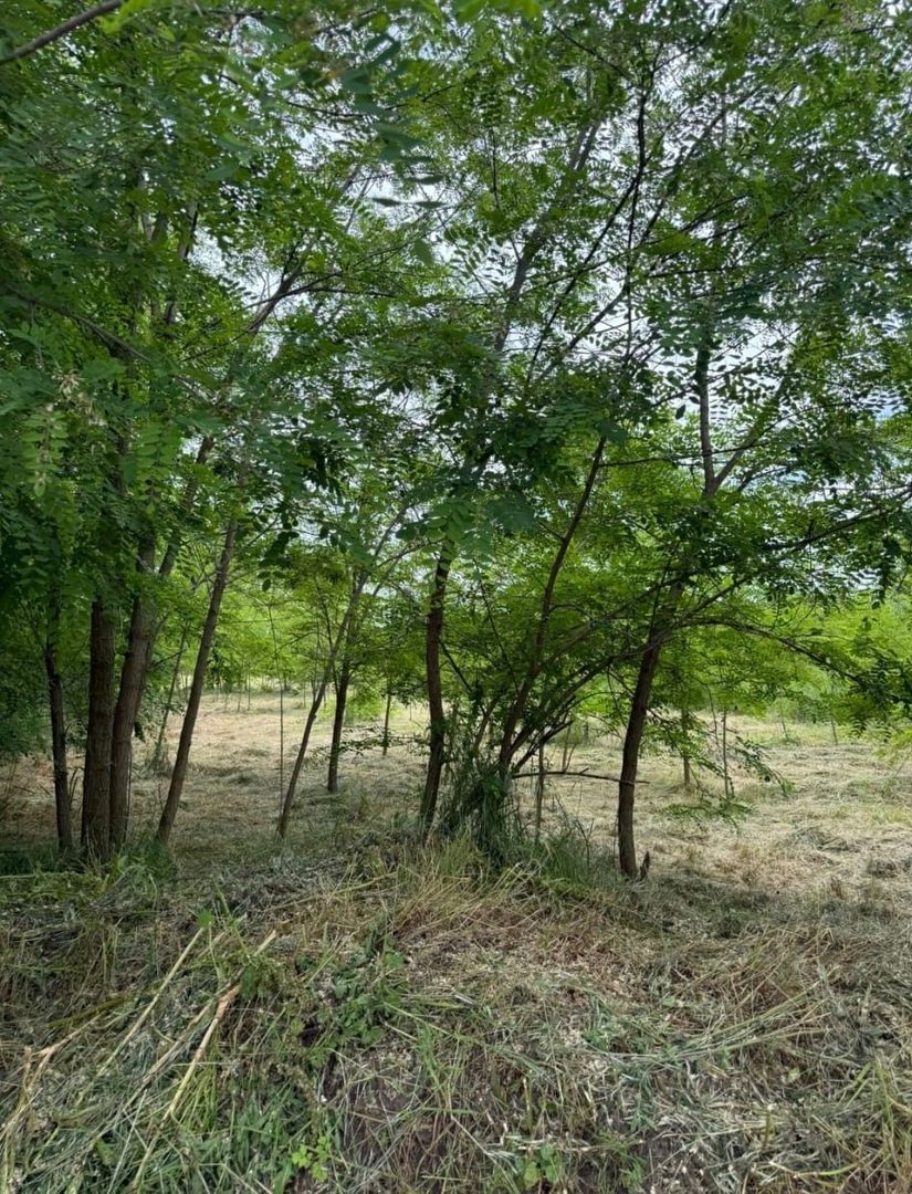 Vanzare teren intravilan cu dubla deschidere - Sacuieni - Poză 5