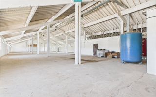 Hale 1800 mp fiecare – acces autostradă, Teiu, HD - Poză 6