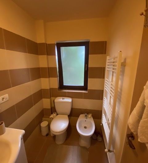 Duplex cu piscina Dumbravita Zona PADURE - Poză 20