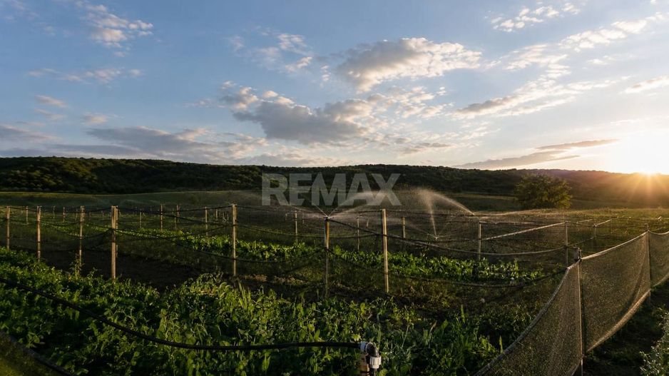 Teren agricol de vânzare – 6,8 hectare cu lac propriu și casă, Nisporeni - Poză 2