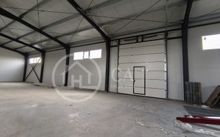 Hala de inchiriat, situata la intrare in Livada, Bihor - Poză 6