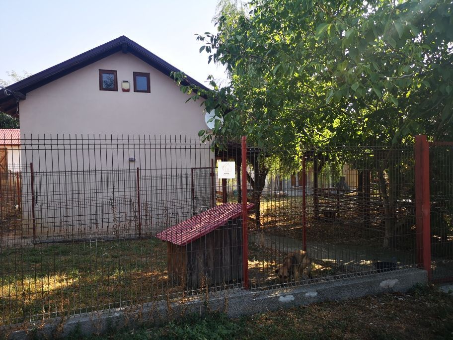 Casa mixta Urziceanca - Poză 5