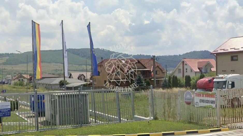 Teren intravilan 1,5 ha-pretabil case/hale-Viisoara EXCLUSIV - Poză 2