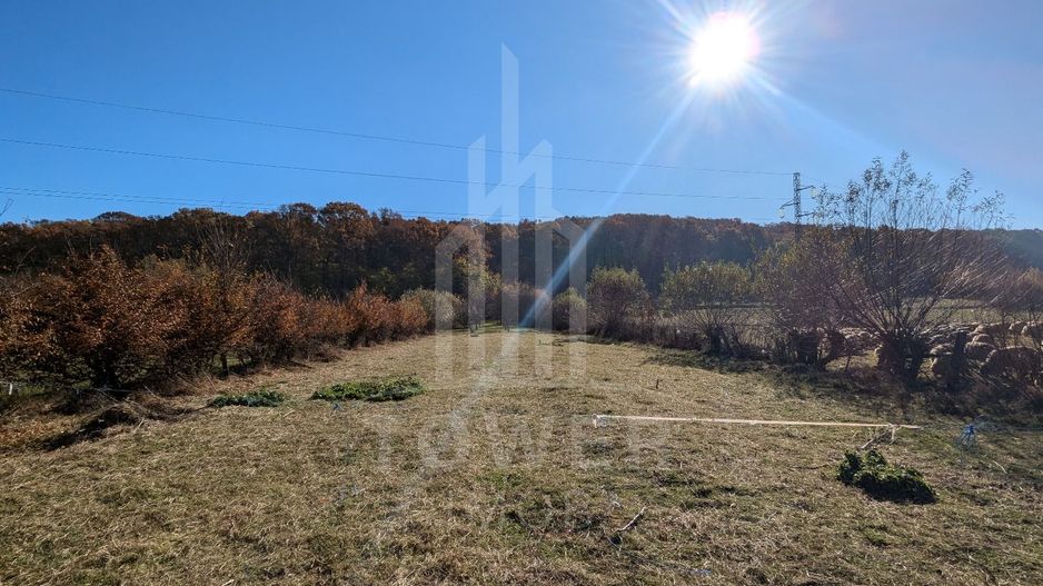 Teren extravilan in Tropinii Noi (Rasinari)-2592 mp - Poză 2