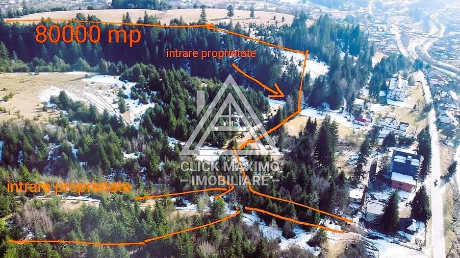 Teren 8 ha cu 15 izvoare minerale, lângă Câmpulung Argeș - Poză 10