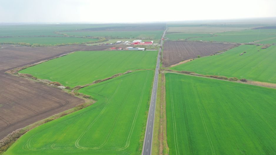 Teren industrial Dudestii Noi - Poză 2