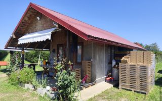 Plantatie de Muri Baicoi 10.000 mp Afacere la cheie! - Poză 6