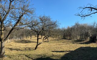 TEREN INTRAVILAN 3400 MP, VOINESTI, LERESTI - Poză 3