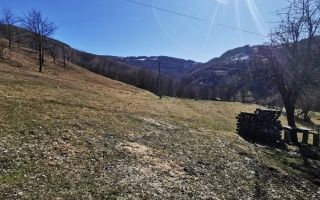 De vânzare teren intravilan 10,100 mp, cu anexă, Munteni - Poză 8