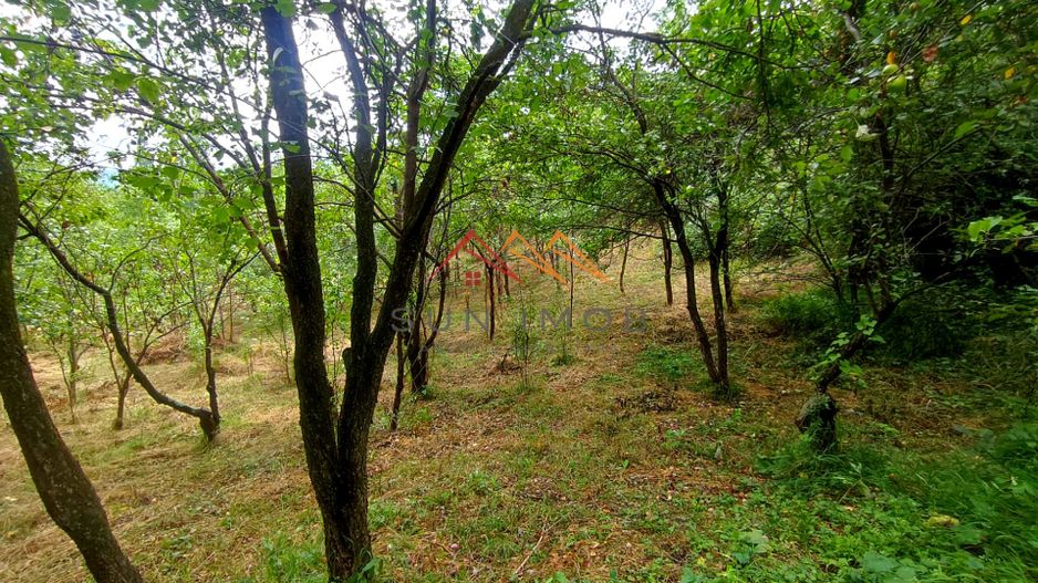 CASĂ DE VACANȚĂ DE VÂNZARE | TELEGA | 1.006 MP TEREN | 85.000 euro - Poză 19