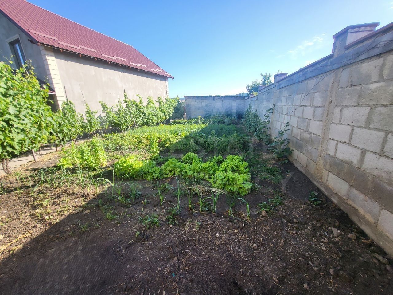 Vânzare casă, 133 mp + 5,5 ari, str. Budai, or.Hincesti. - Poză 36