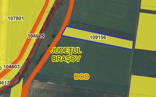 Teren de 8700 mp - extravilan - Bod, Brasov - Poză 8