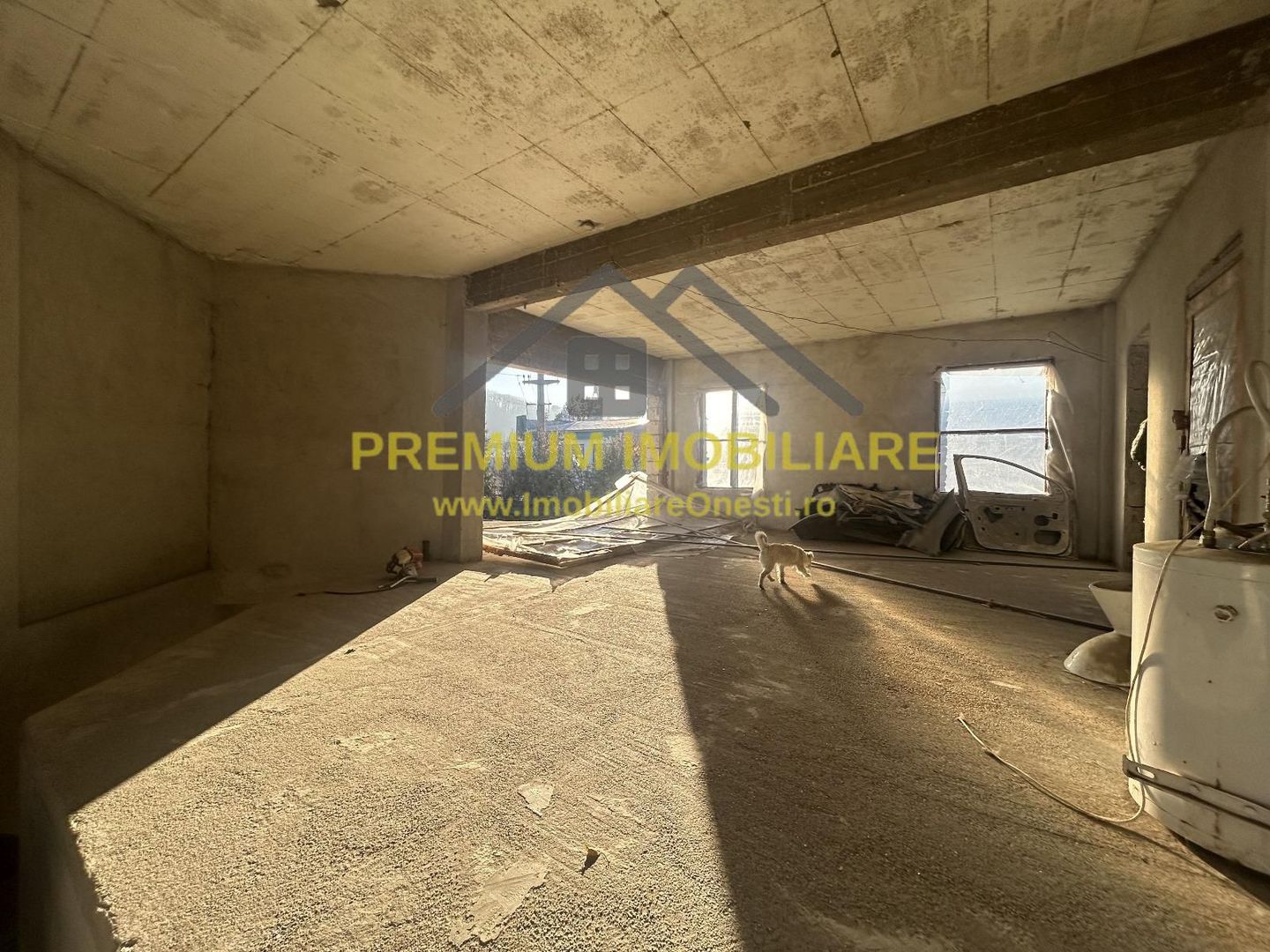 Proprietate multifuncțională cu potențial pentru investiții - Poză 12