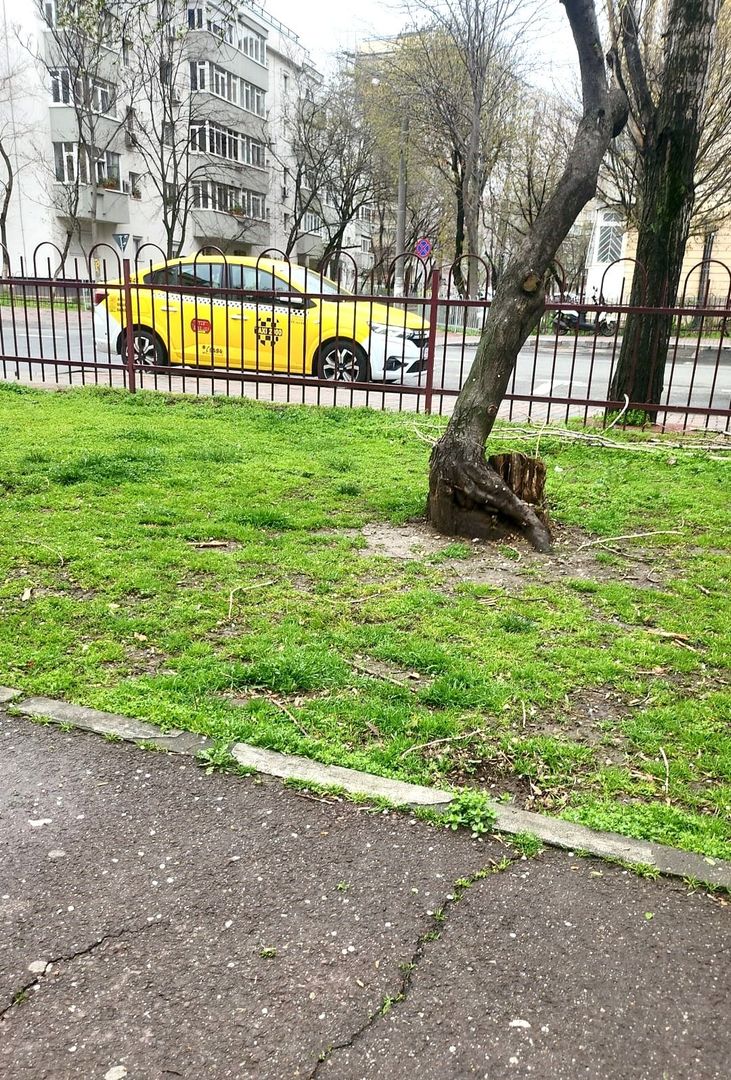 Vânzare 3 Camere 110 mp | Centrală Proprie | 2 min Mall Vitan, 12 min Metrou - Poză 3