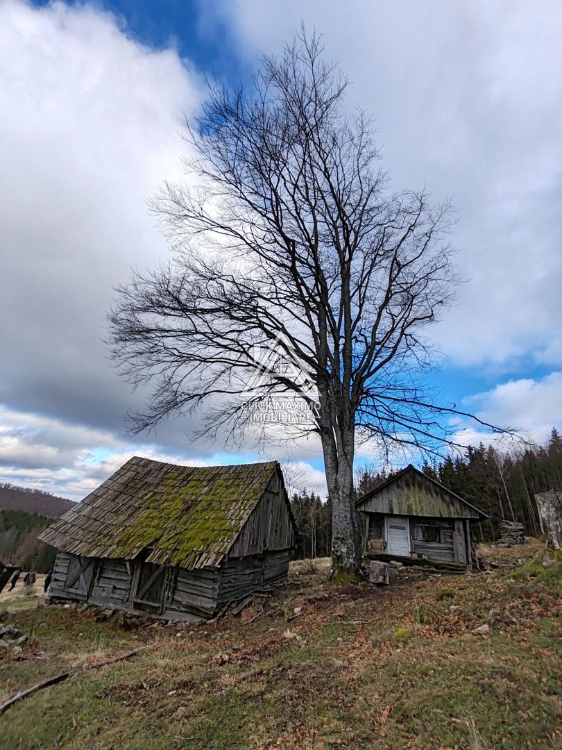 19.5 Hectare în Zona Turistică Montană – Bulz, Bihor - Poză 8