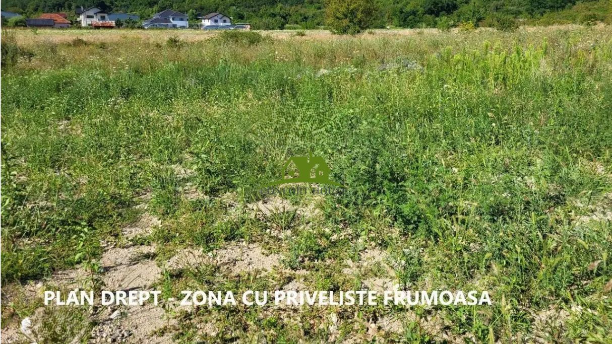 Teren intravilan 1.100 mp – Goranu 3km Rm.VL. acces facil +utilități - Poză 2