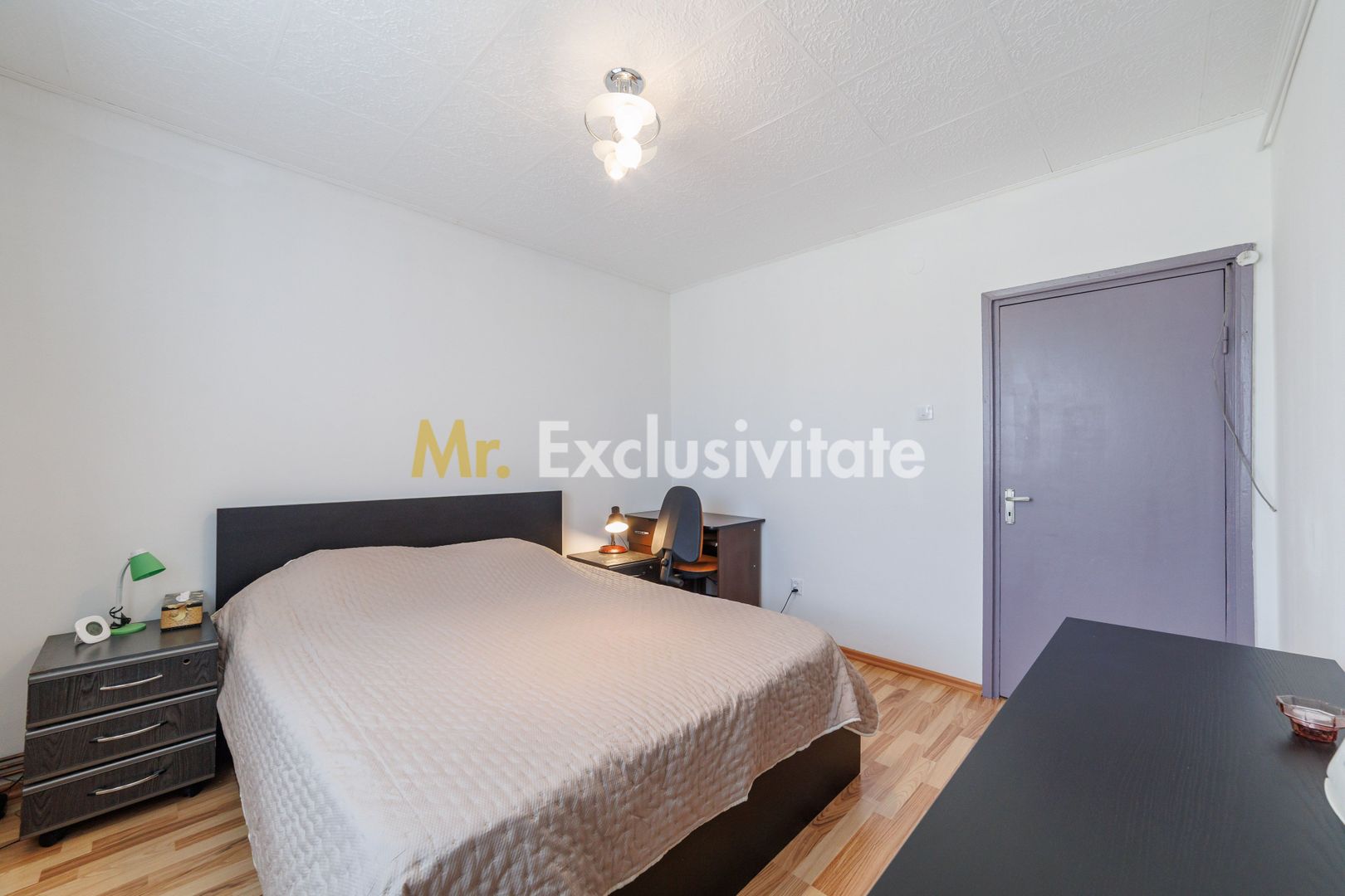 Apartament 2 camere, etaj 3, zona Traian I 0% COMISION - Poză 7