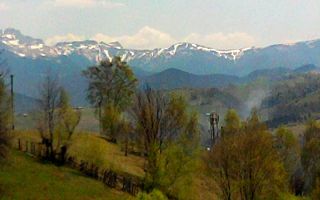 teren intravilan in zona Magura Bran - Poză 3