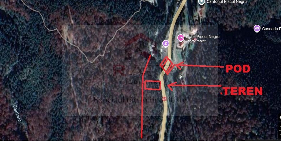 TEREN EXTRAVILAN PADURE PISCUL NEGRU ARGES - Poză 10