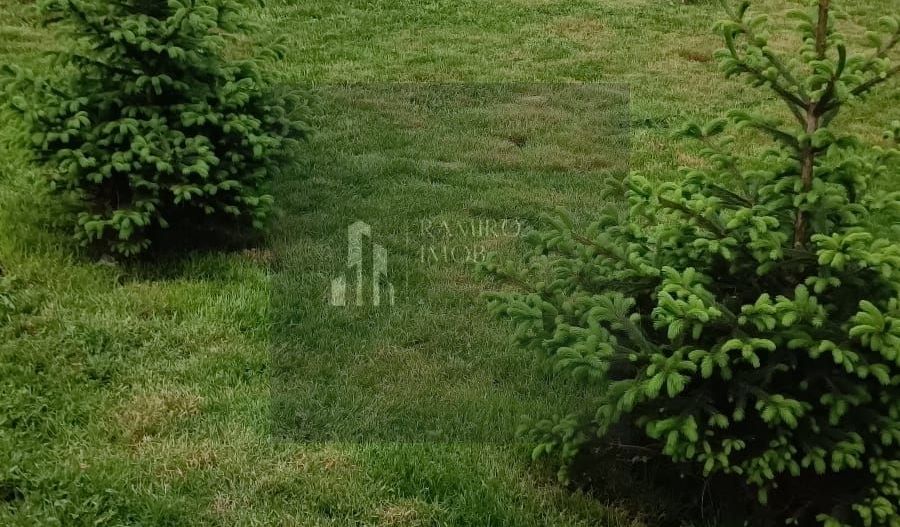 OCAZIE Casa P+M+ teren 700mp Adunatii-Copaceni - Poză 4