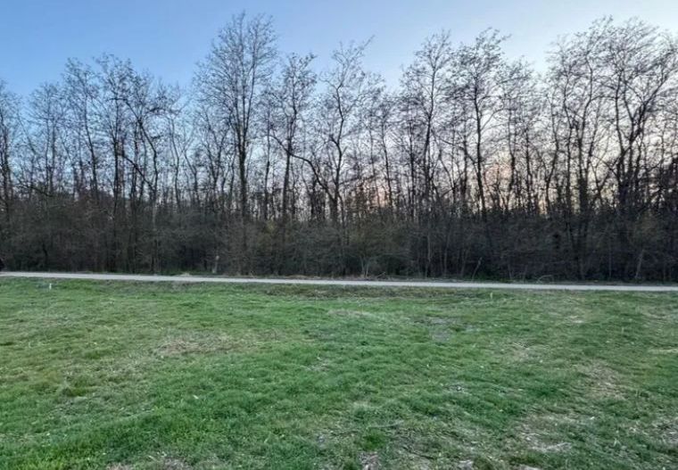 intravilan in vecinatatea palatului Snagov - Poză 3