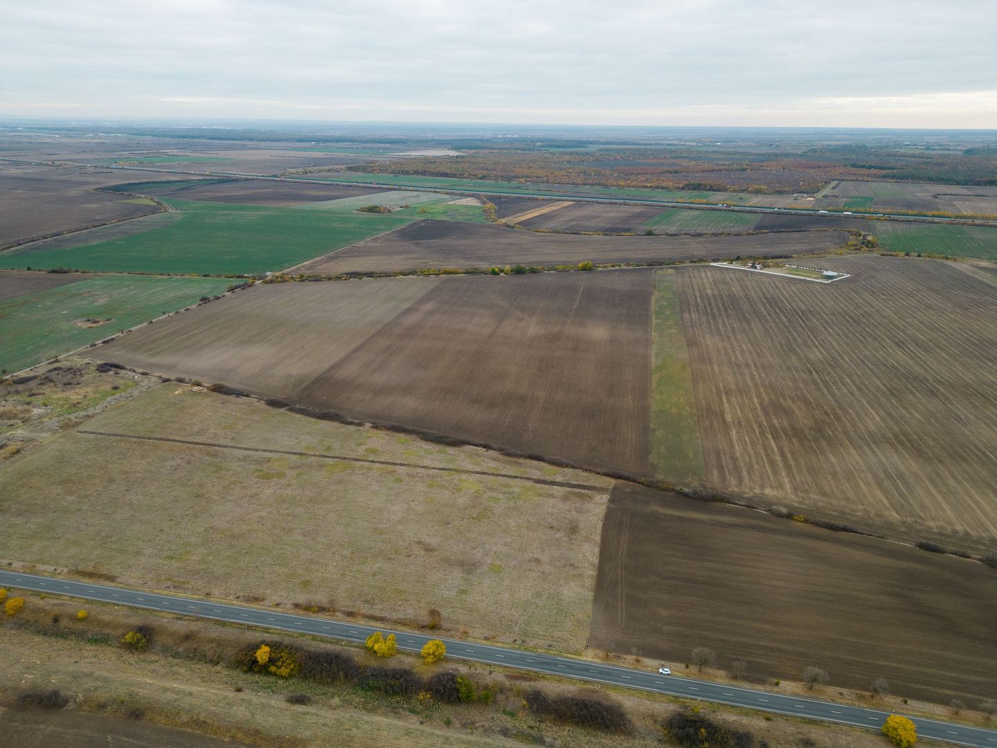 Teren 22.500 mp–Pecica, jud. Arad,Posibilitate PUZ - Poză 5