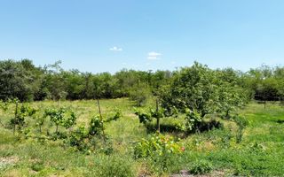Casă de vanzare cu teren generos de 6.732 mp la E671 Leș, Bihor - Poză 11