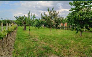 Casa de vanzare in Sacaseni, langa baile termale Tasnad - Poză 4