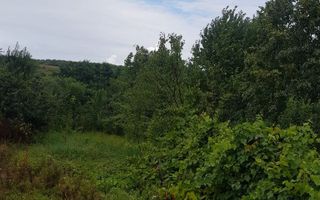 Teren de vânzare în Bucium, 1000mp, acces asfaltat - Poză 2