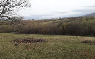 Teren Extravilan 4.572mp | Zonă liniștită | Sadu - Poză 8