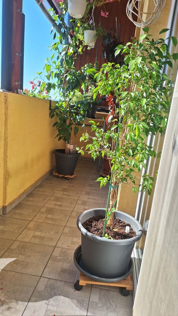 Apartament 2 camere cu POD generos 30mp- Selimbar, Triajului - Poză 16