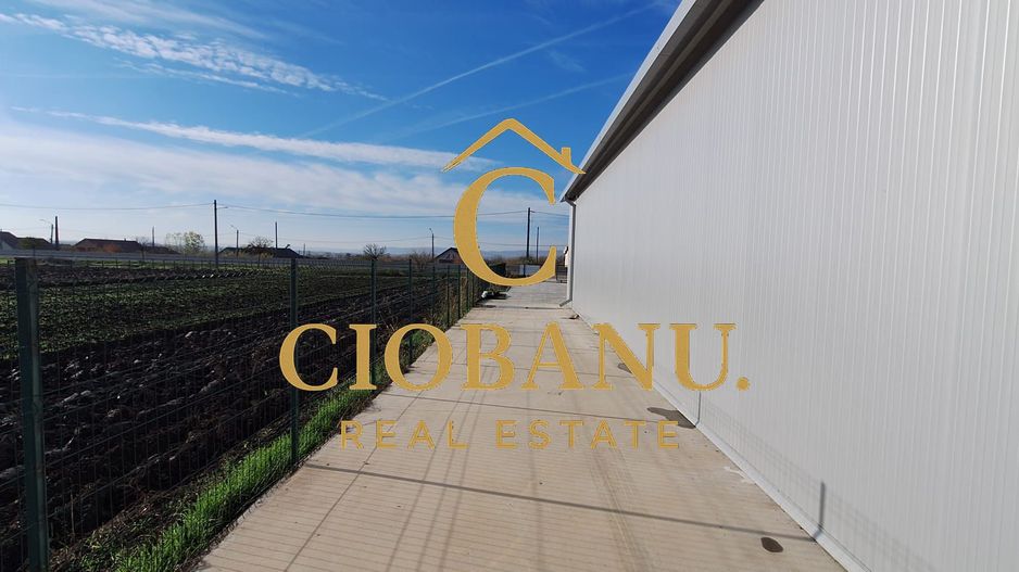 Hala de vanzare in Racarii de Jos - Poză 14