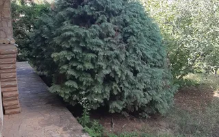 Casa individuala Timisoara/ Mehala - Poză 17