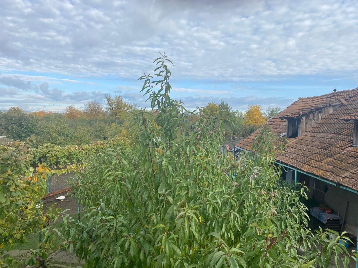 Vanzare casă cu teren generos în Săcueni, la 15 minute de Târgoviște - Poză 15