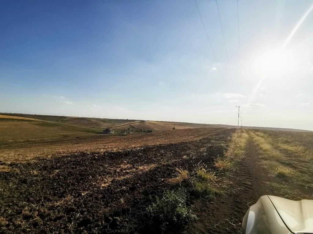 Ferma 415 ha comasat Timisoara NORD - Poză 7