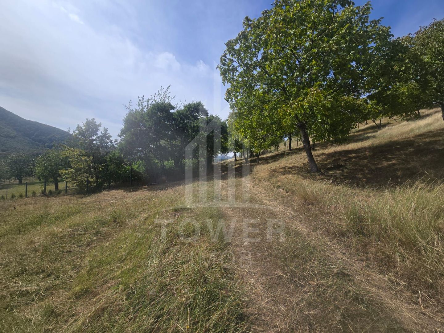 Teren intravilan 633 mp Cisnadioara - Poză 5