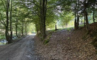 Teren extravilan de vânzare | 1402 mp | Blidari | zonă superbă - Poză 5