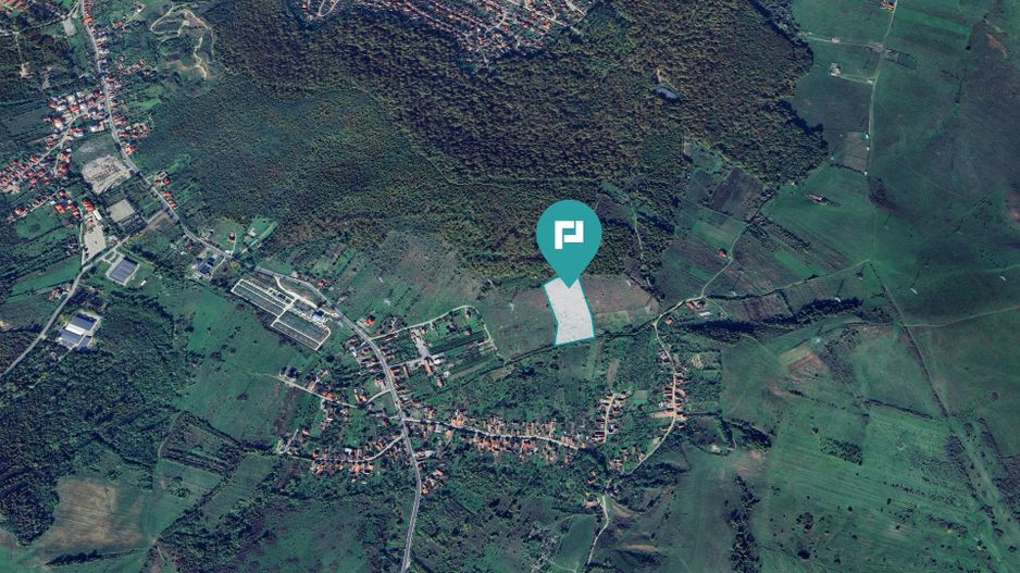 Teren fâneaţă lângă pădure - Hunedoara - Poză 3