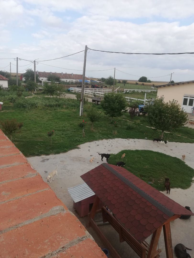 Ferma de vânzare - Poză 1