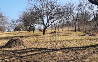 Teren de vanzare in Valcele