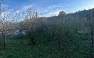 Casa cu livada | Bujoreni | 1550 mp - Poză 3