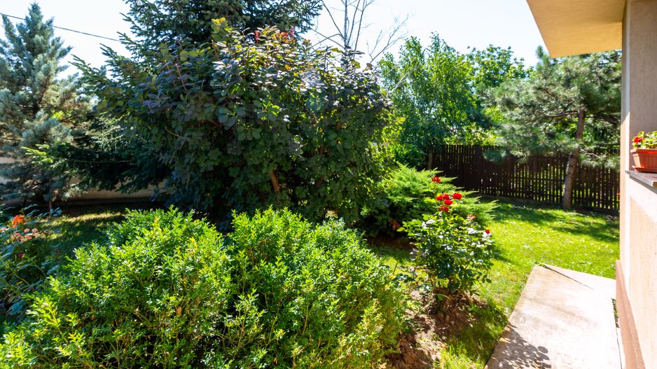Casă / Vilă de vânzare cu 5 camere in Corbeanca/Tamasi, teren 801 mp - Poză 34
